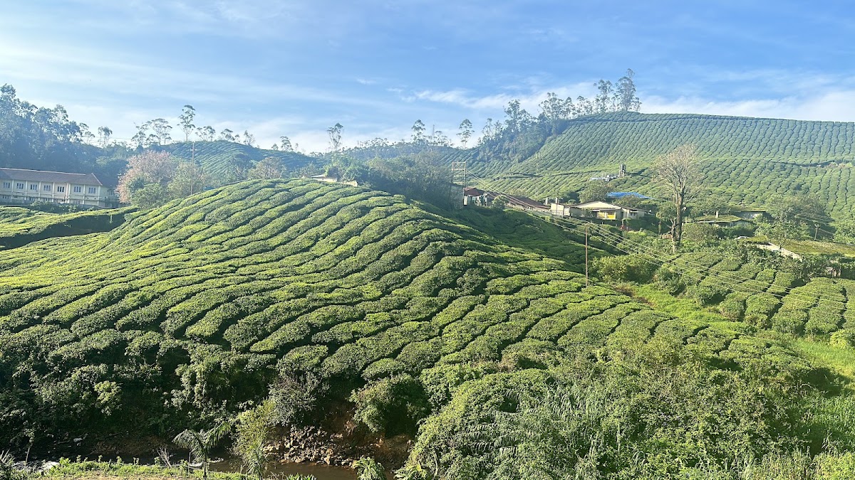 Priji Tours & Travels photo by Jomon Joshua